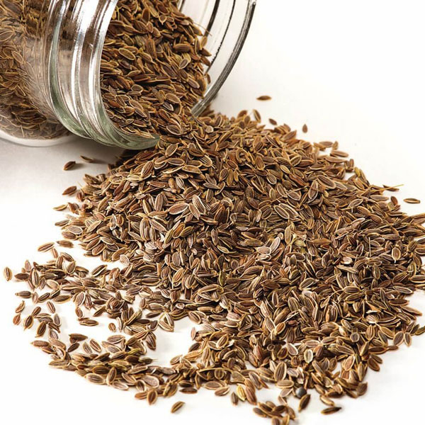 Dill Seeds